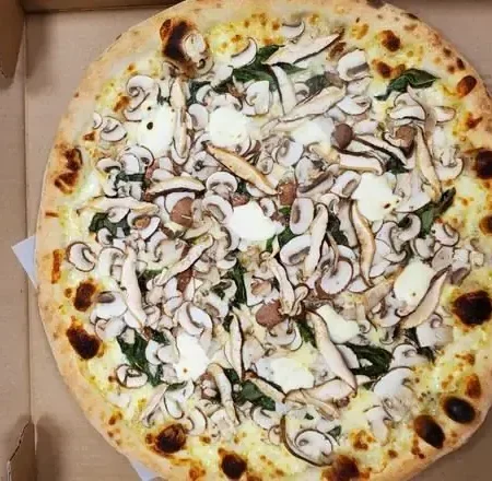 Mille Funghi